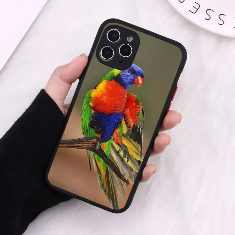 

Beautiful lark Phone Cases Matte Transparent for iPhone 7 8 11 12 s mini pro X XS XR MAX Plus cover funda