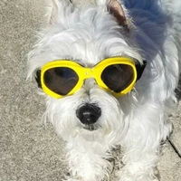 fashion pet glasses dog goggles waterproof windproof sunscreen cat uv resistant sunglasses pet accessories new