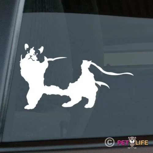 

Ragdoll Cat Sticker Die Cut Vinyl feline kitten window decal