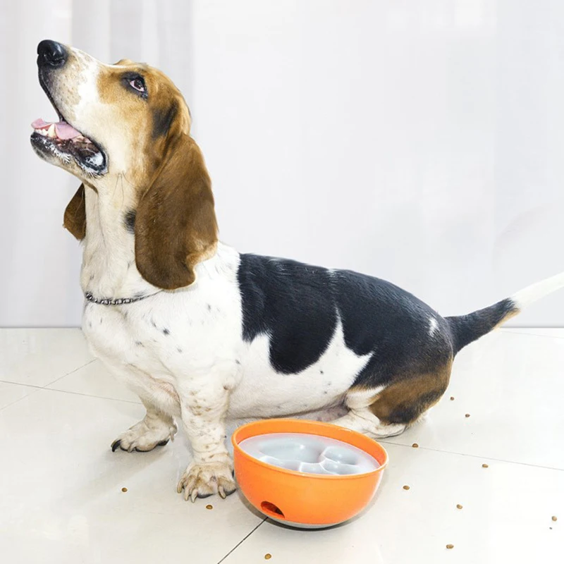 Bowl Puzzle Feeder Dog - Interactive Enrichment Dish Slow for Dogs | Дом и сад