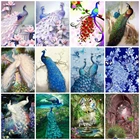 EverShine алмазная вышивка полная выкладка павлины алмазная мозаика животные картины стразами рукоделие искусство подарок
