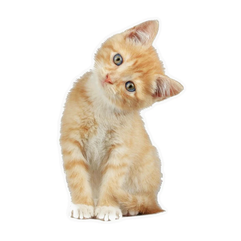 

Dawasaru Tabby Cat Orange Kitten Автомобильная наклейка Солнцезащитная наклейка для ноутбука грузовика мотоцикла автомобильное украшение из ПВХ 17 см * 10 ...