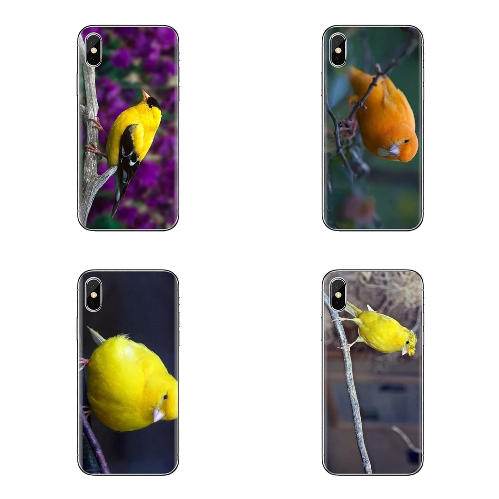 Soft Transparent Bag Case For iPod Touch Apple iPhone 4 4S 5 5S SE 5C 6 6S 7 8 X XR XS Plus MAX Mosaic yellow Types Canary Birds |
