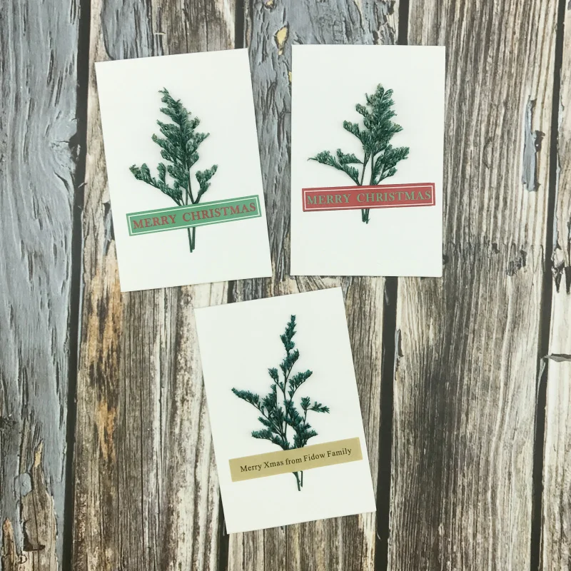 50 шт./лот белые пустые рождественские открытки с высушенной рождественской елкой