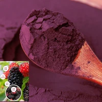 free shipping 100 natural mulberry powder mulberry seed powder fruit and vegetable powder baking ingredients