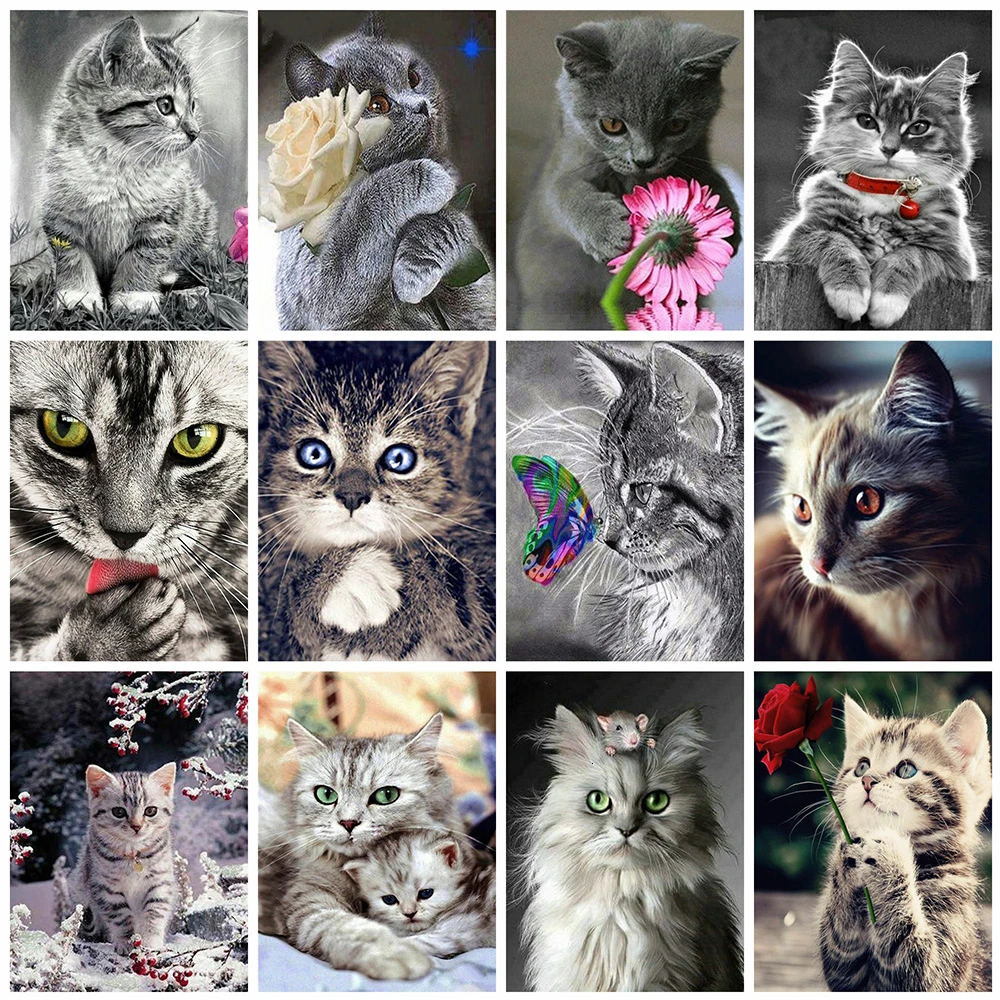 5D алмазная картина животное кошка полный квадрат круглая дрель Алмазная вышивка