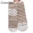 Носки женские хлопковые, с рисунком в виде кота, зимние, теплые