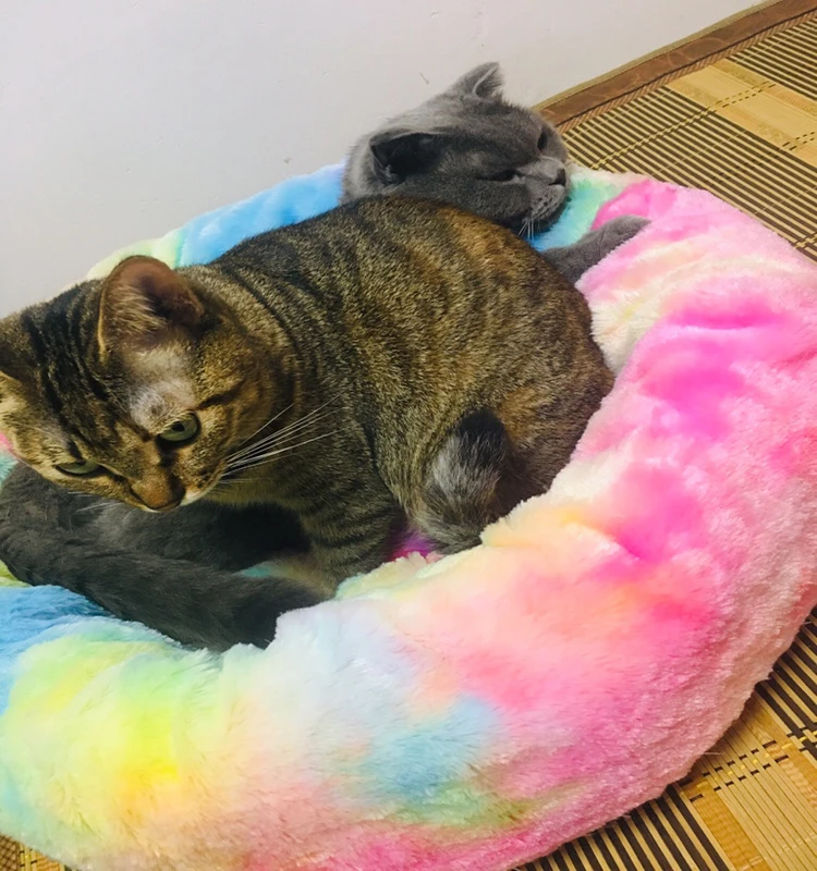 Длинная плюшевая кровать для домашних животных супер мягкие кровати кошек