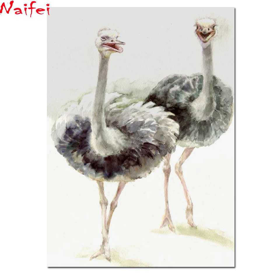 Картина из страуса 5D с большими птицами квадратная круглая Алмазная вышивка
