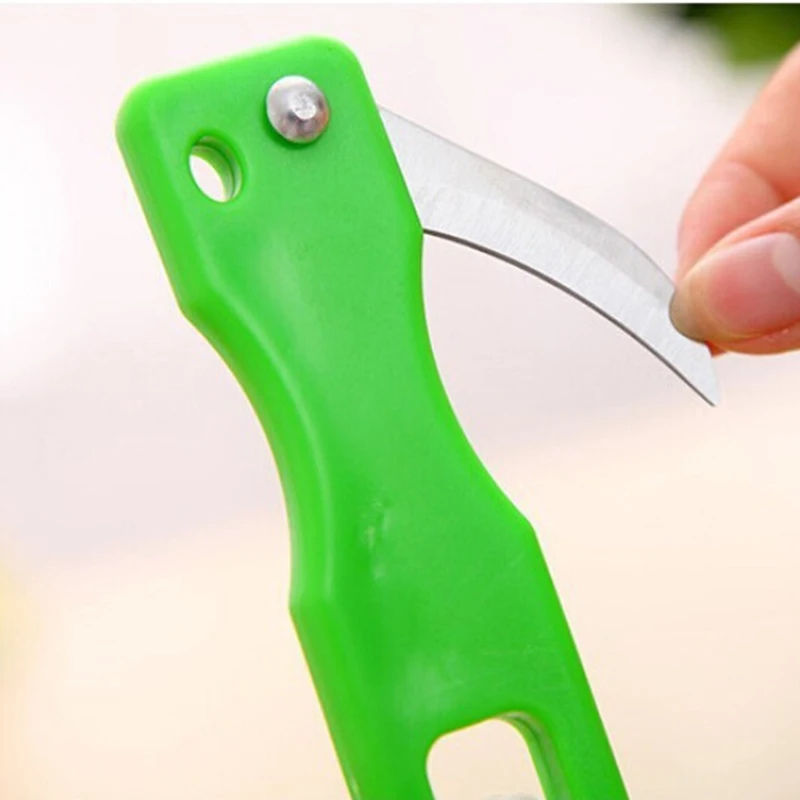 

Multipurpose Kitchen Garden Cooking Tool Fish Scale Clean Convenient Scraping Scale Kill Fish with Knife Machine Eco-Friendly