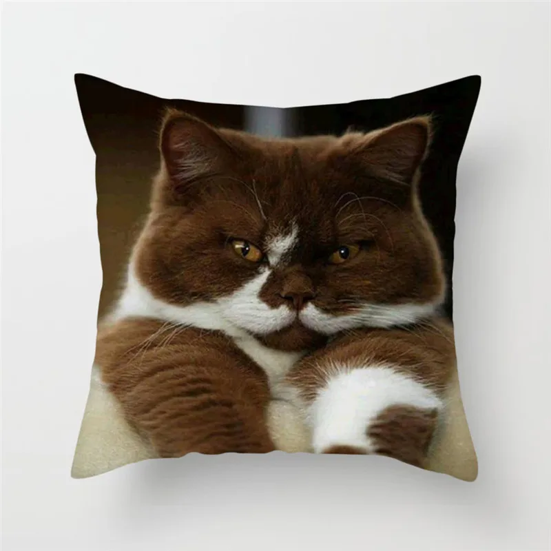 PC05219 Fuwatacchi милый чехол для подушки с кошкой кошка и подушка с бабочкой чехол для дивана домашний стул Животные декоративные подушки 45*45 см - Цвет: PC05219