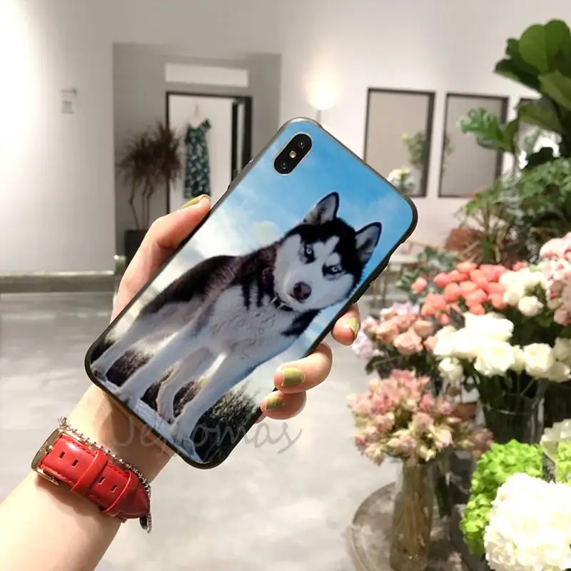 

Husky cute animal Phone Case for iPhone 11 12 pro XS MAX 8 7 6 6S Plus X 2020 XR Mini