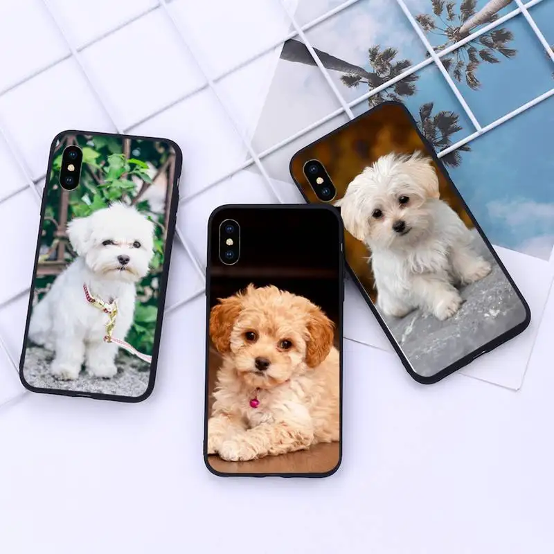

Maltese Dog Puppy cute animal Phone Case For iphone 12 11 13 7 8 6 s plus x xs xr pro max mini