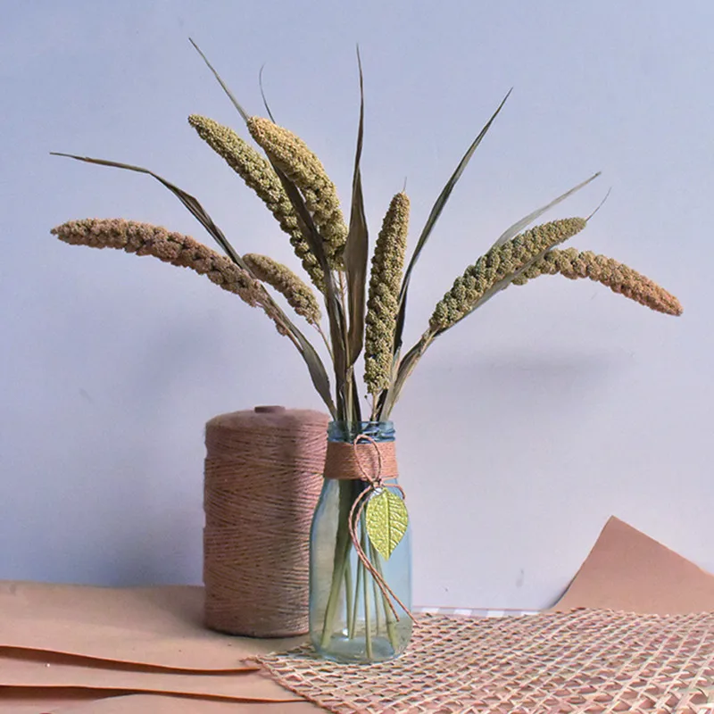 10 PCS Natural Dried Cereals Millet Flower Spike Decorative Christmas Home Wedding Table Decoration DIY Real Plants Photo Prop