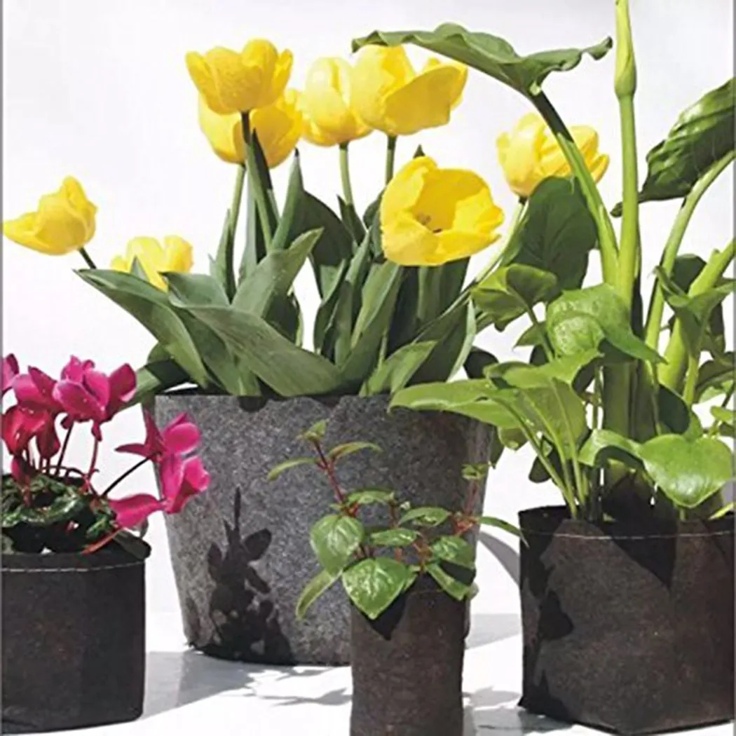 

Gardening Growing Bag Growth Pot Non-Woven Planting Bag Seasonal Fruits