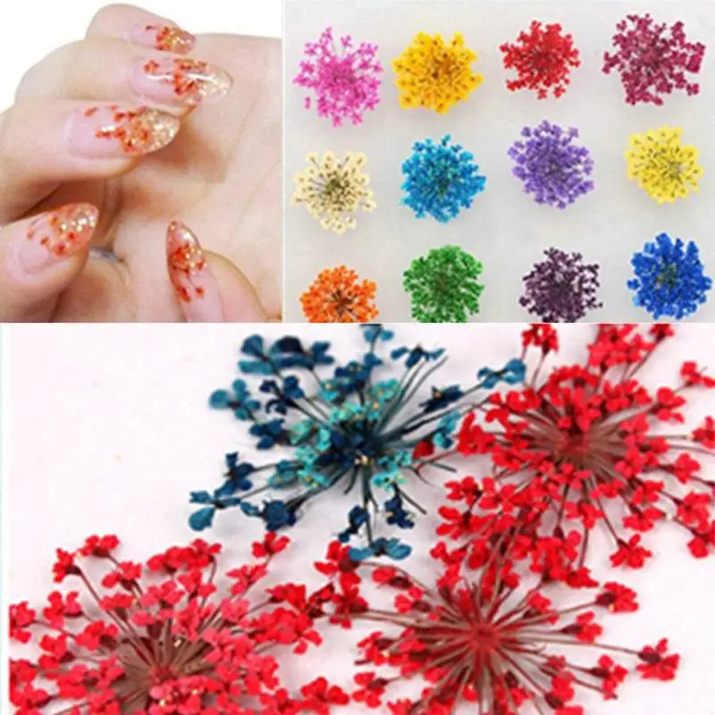 УФ-гель для ногтей набор из натурального сухого цветка с натуральным лепестком 3D