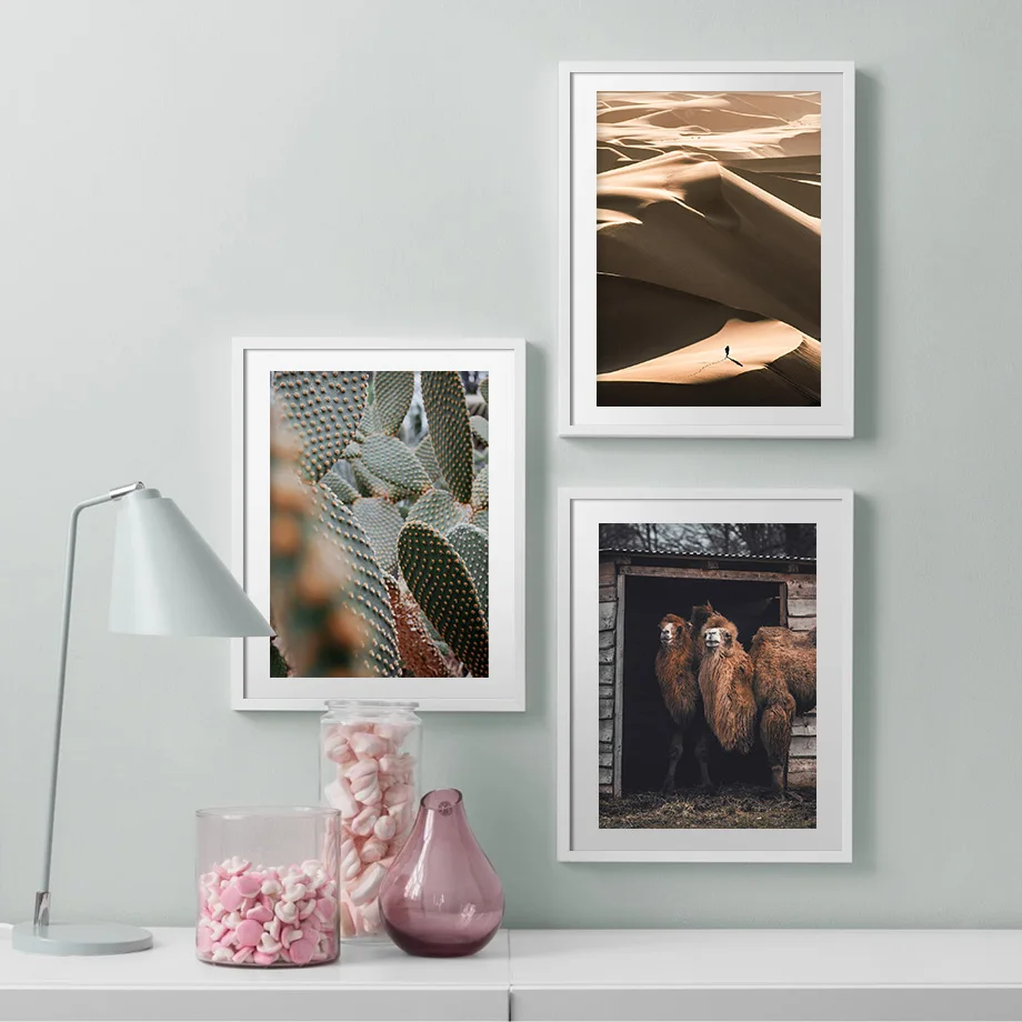 Картина на холсте с изображением пустыни солнечного света верблюда кактуса | Дом