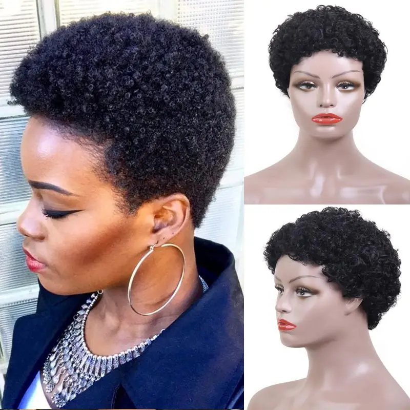 

Women's Fashion Black Wig Short Kinky Afro Curly Wigs Heat Resistant Synthetic Curly Hair Natural Wig Costume Party