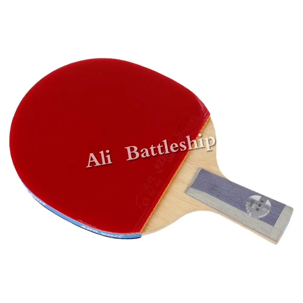 DHS TB series table tennis racket Table racquet ping pong TG BLUE + Tin Arc Sponge pimples in rubbers TB2/TB6 | Спорт и развлечения
