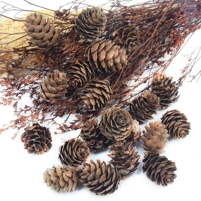 Pine Nuts 10 шт. 3 см натуральные сосновые орехи искусственные для свадьбы рождественские украшения аксессуары для сада Поддельные фрукты овощи - Цвет: Pine Nuts