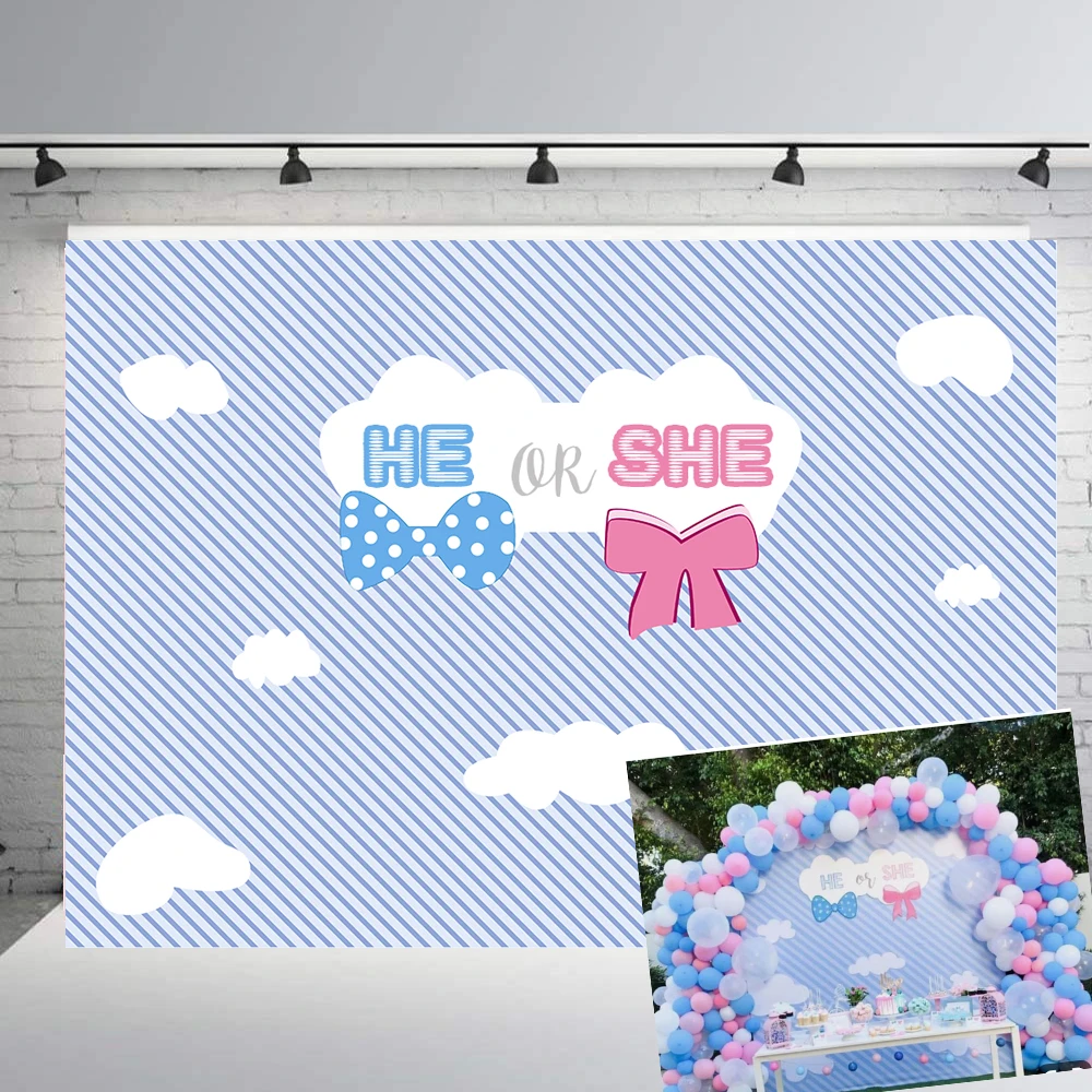 

BEIPOTO He or She Gender Reveal Backdrop Cloud Blue or Pink Photography Background vinyl Party Banner baby shower studio B383
