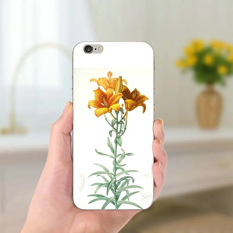 Матовые красивые цветные чехлы с цветочным рисунком для iPhone чехол 5 SE 5C блестящий
