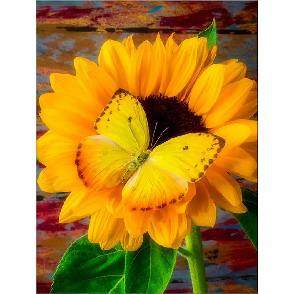 Алмазная живопись сделай сам с подсолнухами полная вышивка крестиком бабочка