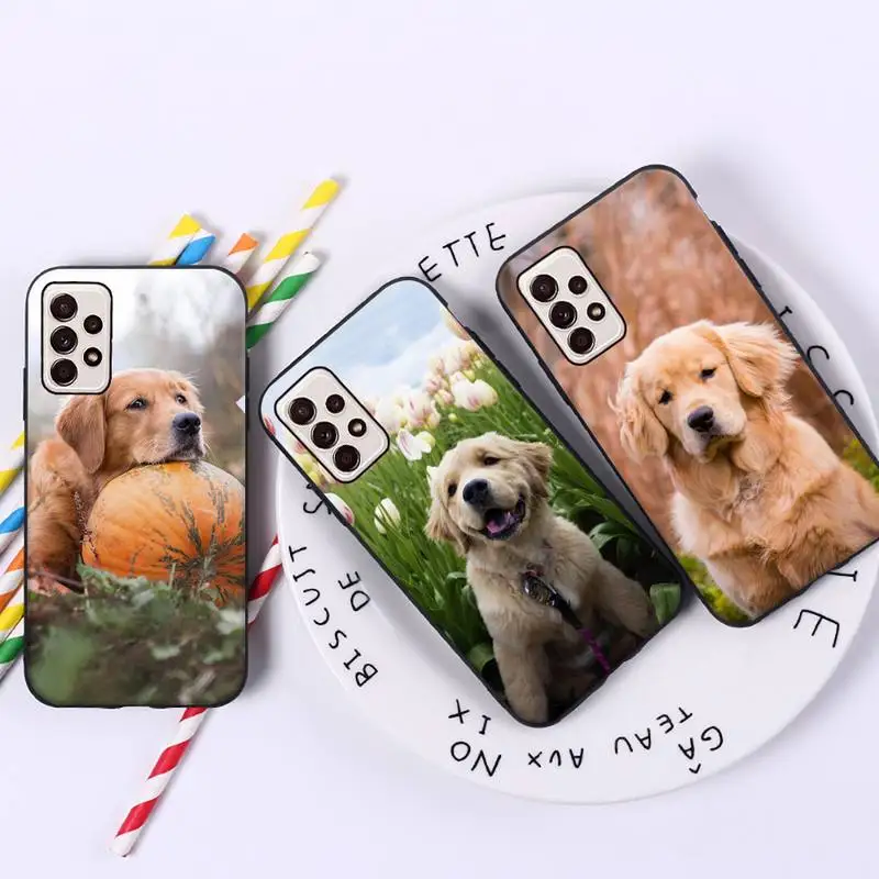 

Cute animal Golden retriever dog Phone Case For Samsung galaxy A S note 10 12 20 32 40 50 51 52 70 71 72 21 fe s ultra plus