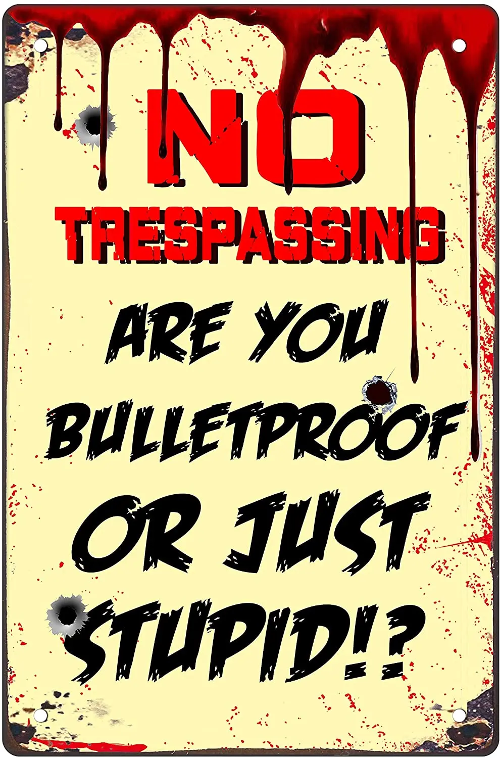 

Home Entrance Wall Decoration Metal Tin Sign No Taespassing Are You Bulletproof or Just Sthpid Vintage Metal Warning Board