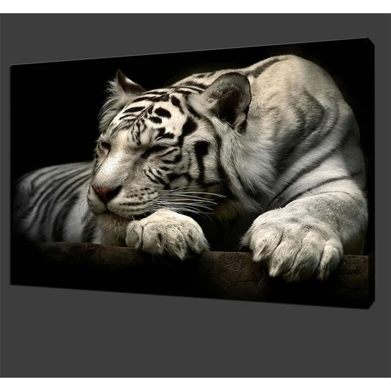 Гостиная на холсте бескаркасные Черный и белый цвета животных картина для