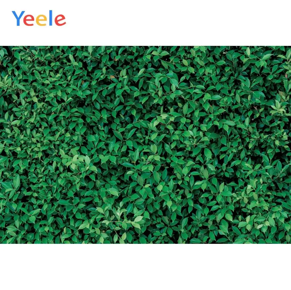 Фон для фотосъемки с изображением зеленой травы и стен дня рождения | Электроника