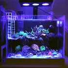 Светодиодный светильник для аквариума, полного спектра, с зажимом, для морских рифов, аквариумов, светодиод Cree, синий + белый, светодиодная лампа
