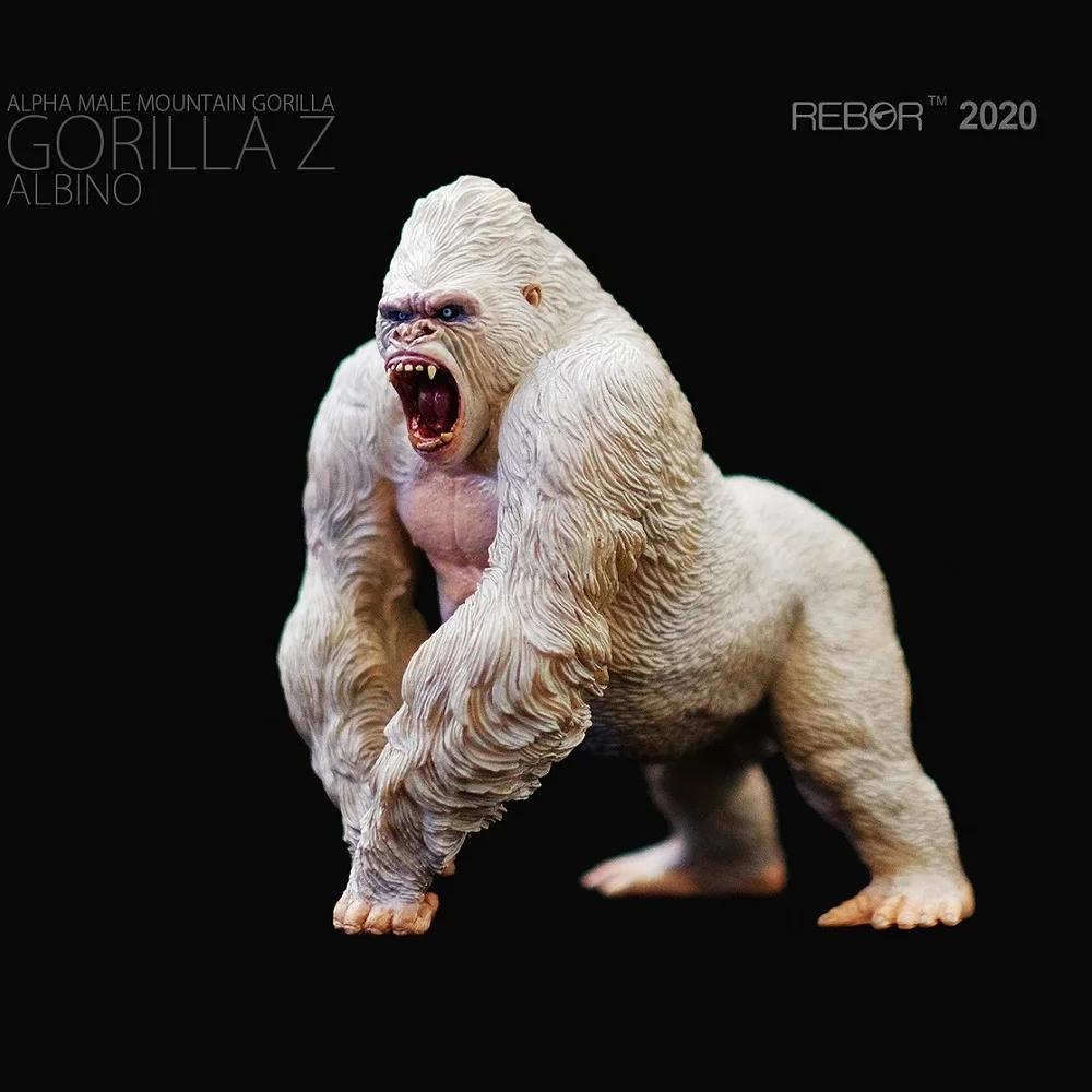 Albino gorilla