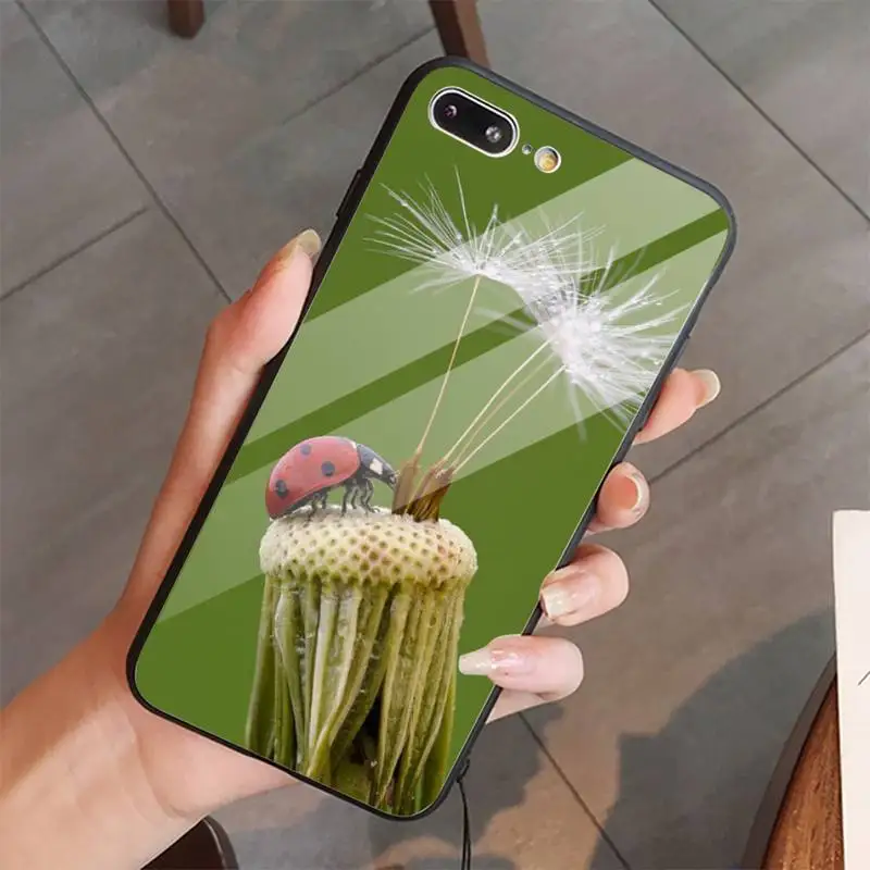 

four leaf ladybug daisy Phone Case Tempered glass For iphone 5C 6 6S 7 8 plus X XS XR 11 PRO MAX
