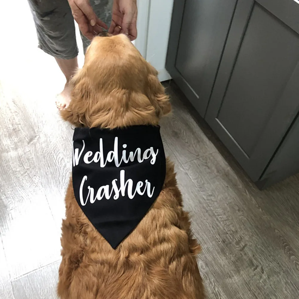 

Custom Funny Wedding Dog Bandana, Wedding Crasher, Wedding Shower Dog Gift, Engagement Gift, White Dog Scarf, Dog Wedding Outfit