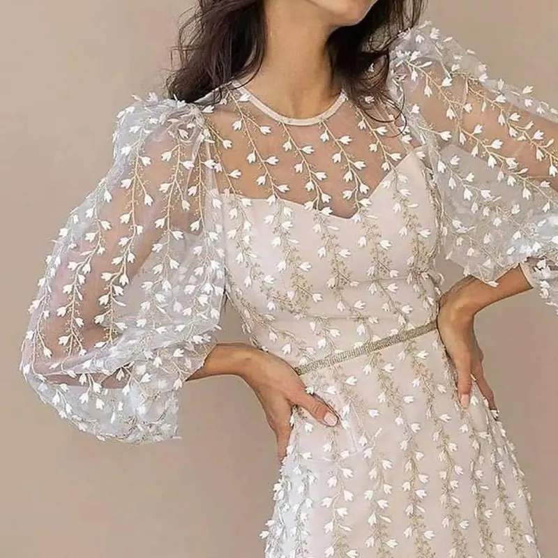 

Charming Lace Girls Women Party Dress Elegant White Long Sleeves Crew Neck Sheer Mesh Stunning Women Sheath Dress