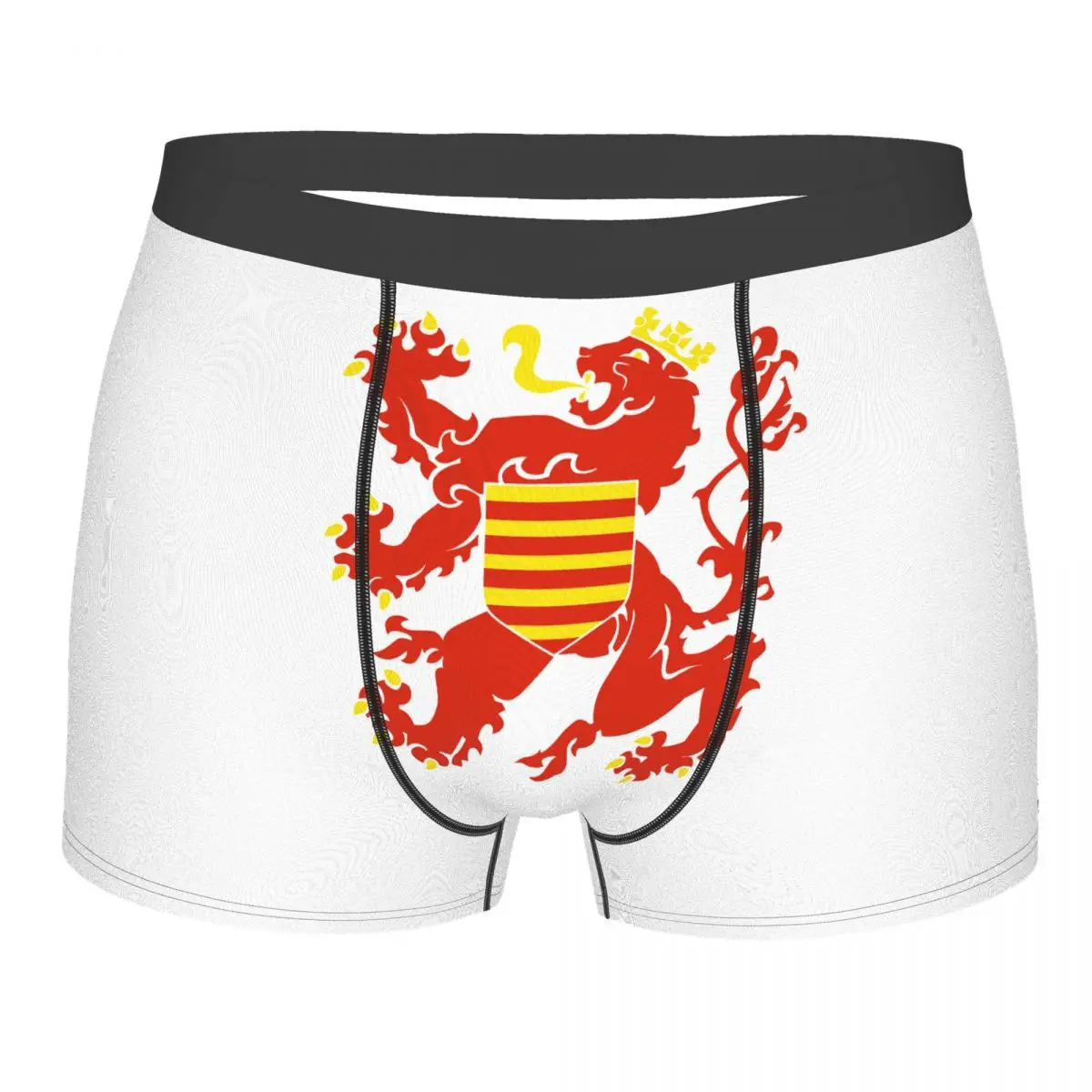 

Flag Of Limburg (Belgium) Men's Boxer Briefs Belgian Humor Graphic elastic pants for men