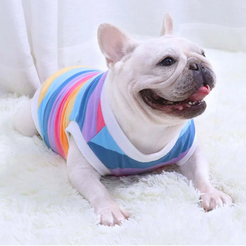 Бархатный жилет для французских боев на осень и зиму собак утолщенный зимний