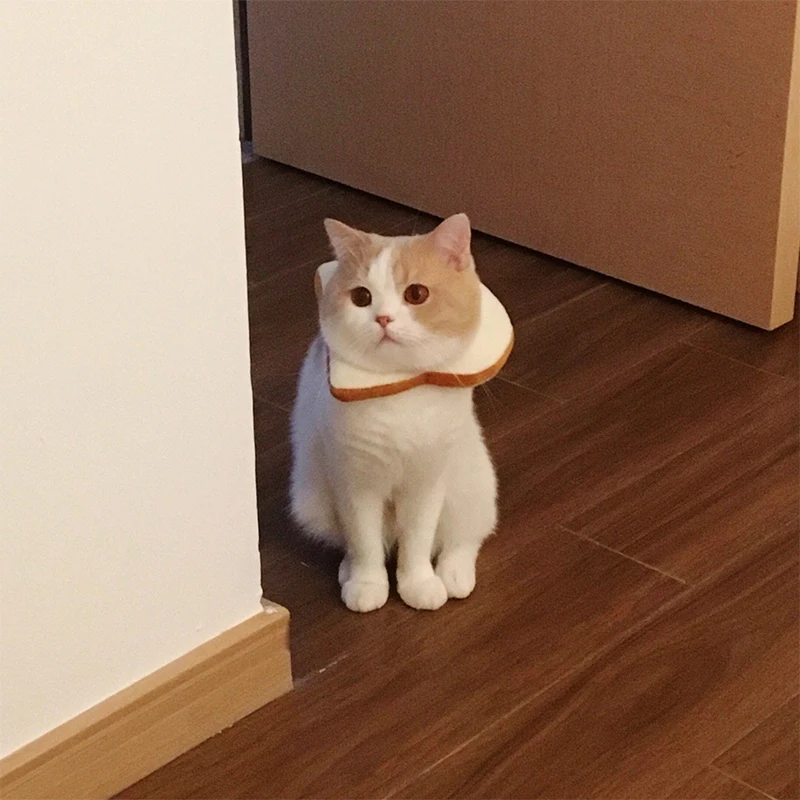 Мягкий хлопковый ошейник для домашних животных елизабетский в форме тоста