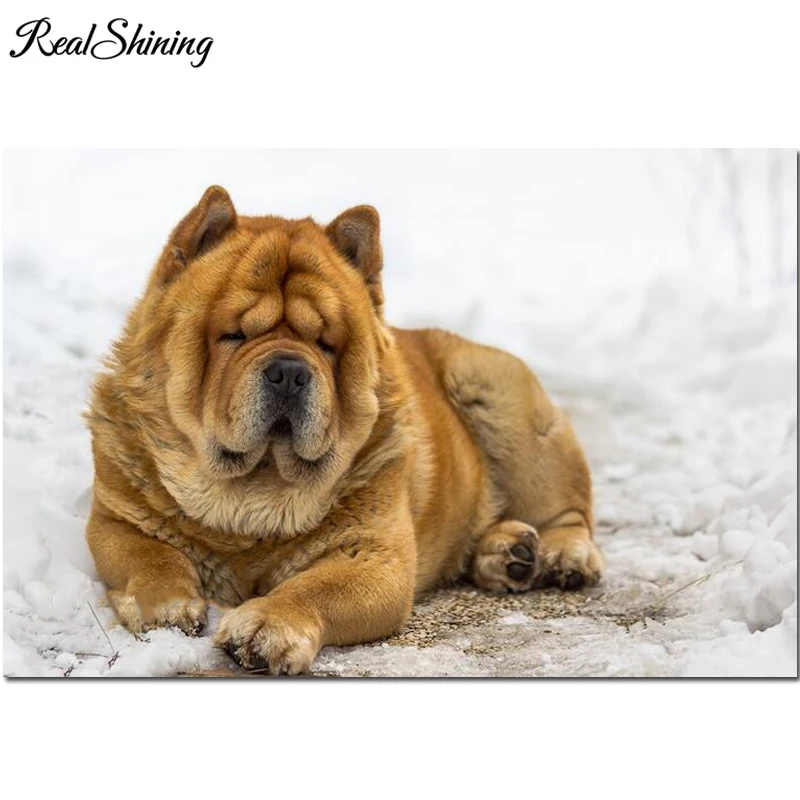 Алмазная вышивка полная круглая картина Chow chow snow dogs diy Вышивка крестиком стразы