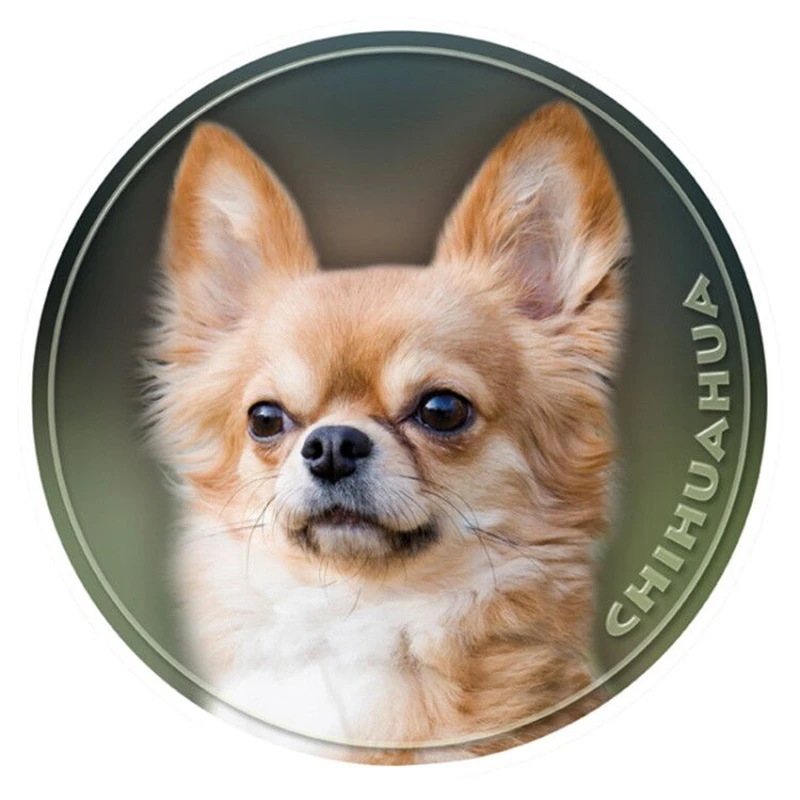 

S40366 # различные размеры ПВХ наклейка Chihuahua стикер на машину с собакой для бампера заднего окна ноутбука холодильника туалета