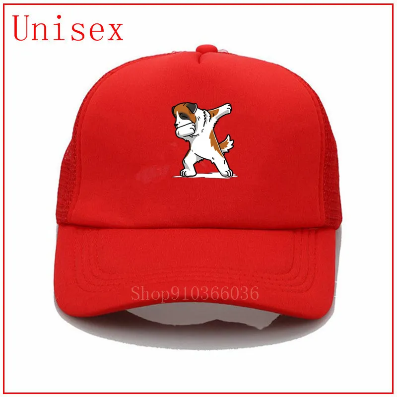 Забавные мужские Бейсбольные кепки с изображением собаки Бернара бейсболки для