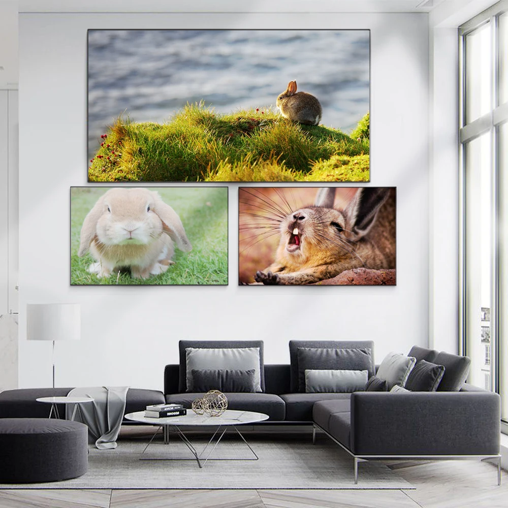

Animal oil painting lovely rabbit art canvas painting office living room corridor study home decoration mural