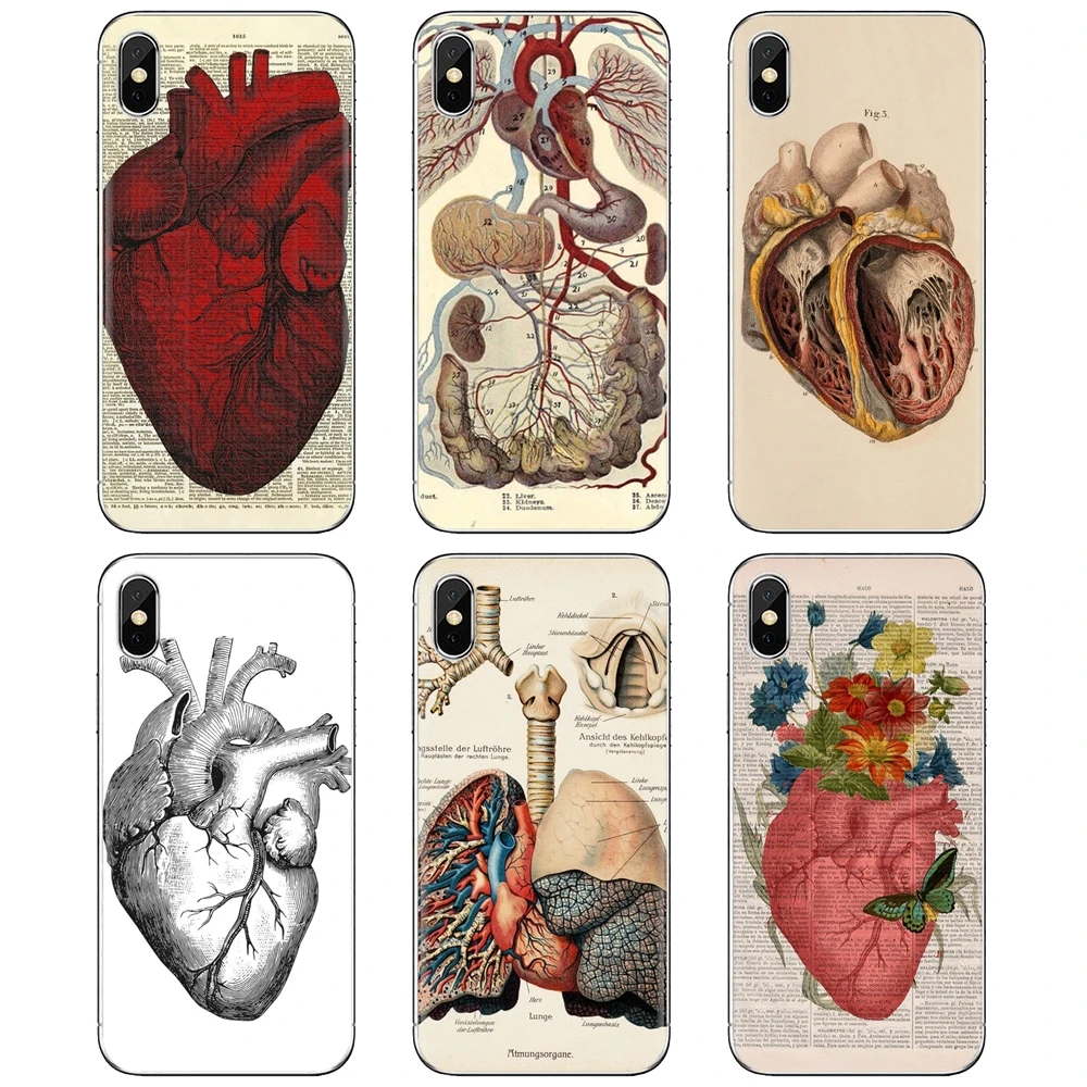 Мягкий чехол для Samsung Galaxy A3 A5 A7 A9 A8 Star Lite A6 Plus 2018 2015 2016 2017 с медицинской анатомической диаграммой сердца.