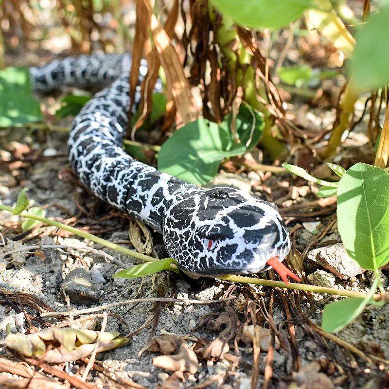 Радиоуправляемая игрушка в виде змеи и яйца погремушка животного трюк страшные