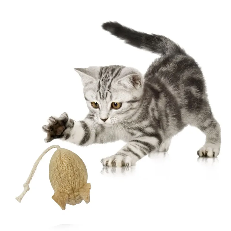 Игрушка для домашних животных кошки собаки милая забавная форма мыши Прочная