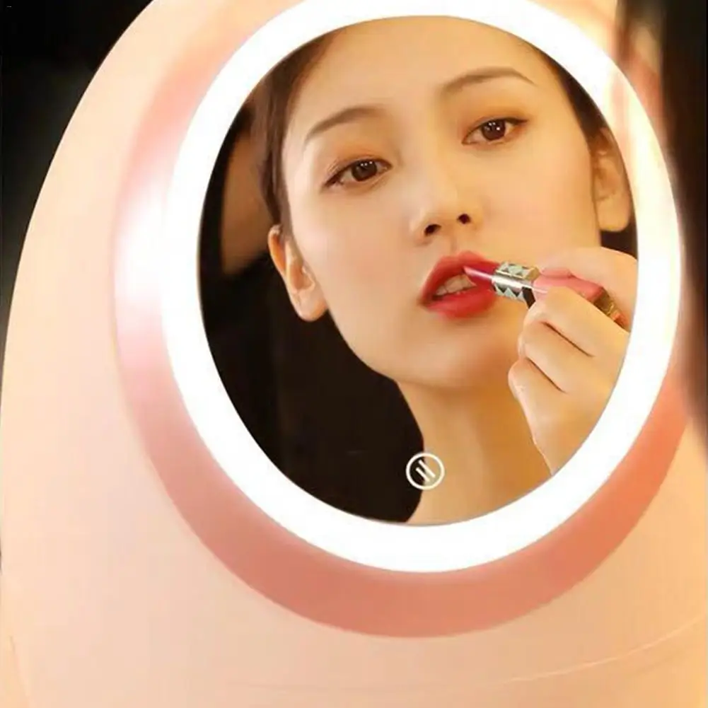 Cosmetic Storage Box With LED Light Mirror Portable Cosmetics Case Makeup Brush Holder Organizer Dustproof |