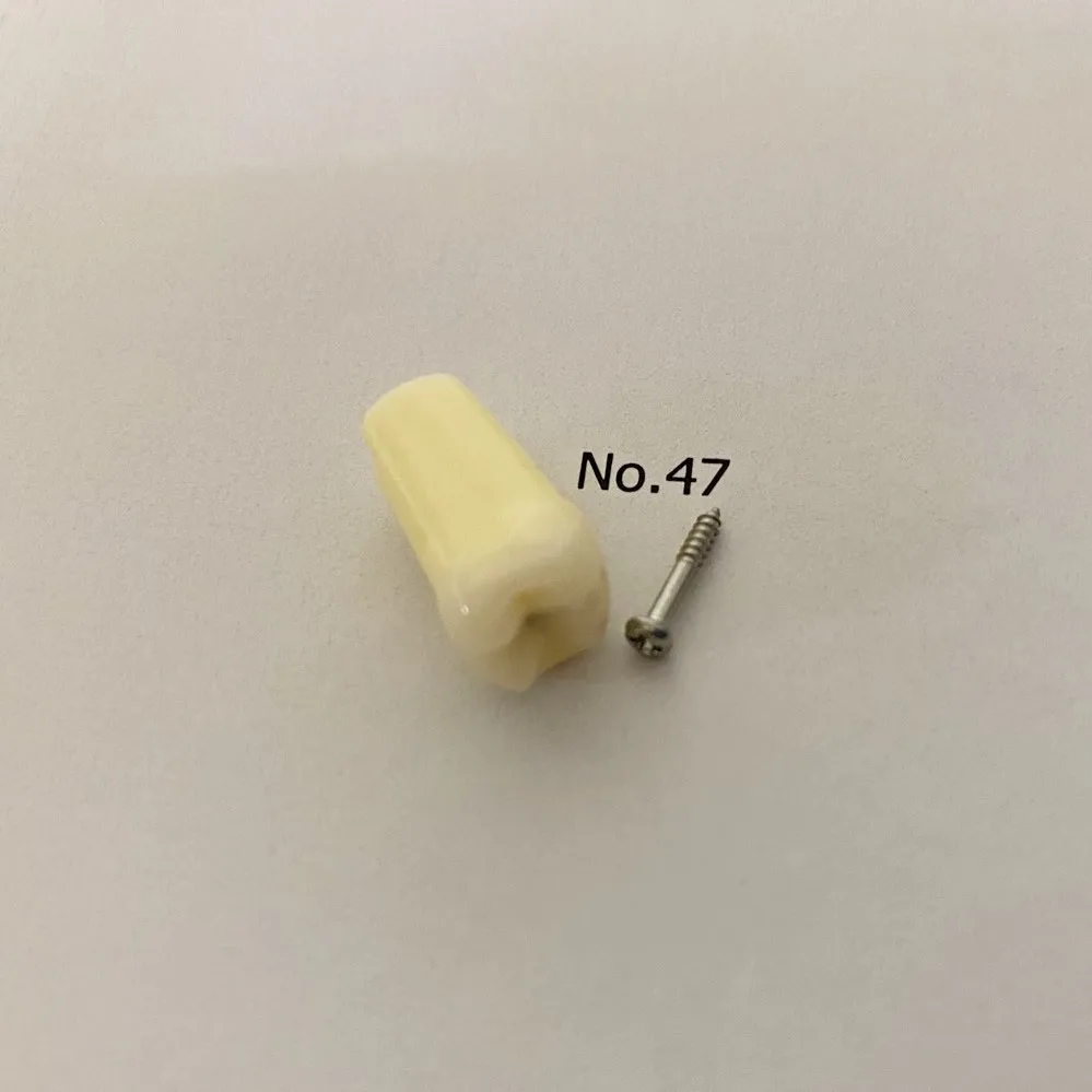 

NO.47 Dental Tooth Caries Decay Decayed Teeth Remove Cavities Dentist School Teaching Teaching Model