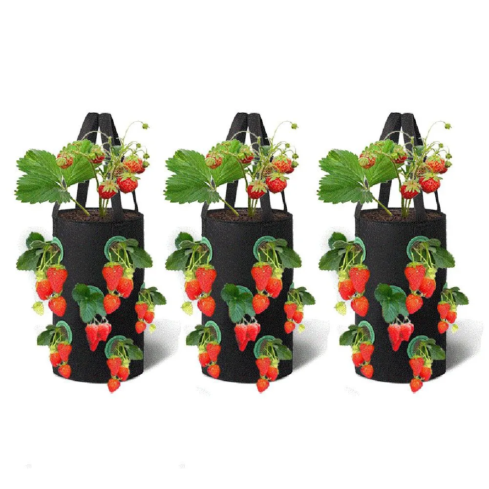 

3pcs Strawberry Planter Bags Multifunction Vegetable Flower Strawberry Plant Grow Bags For Garden Plant