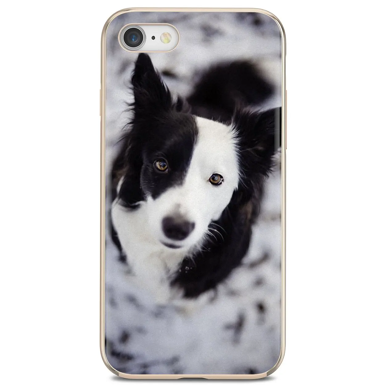 Силиконовый чехол Border Terrier Borzoi dog puppies для Huawei Y6 Y5 2019 Xiaomi Redmi Note 4 5 6 7 8 Pro Mi A1 A2 A3 6X 5X 7A |